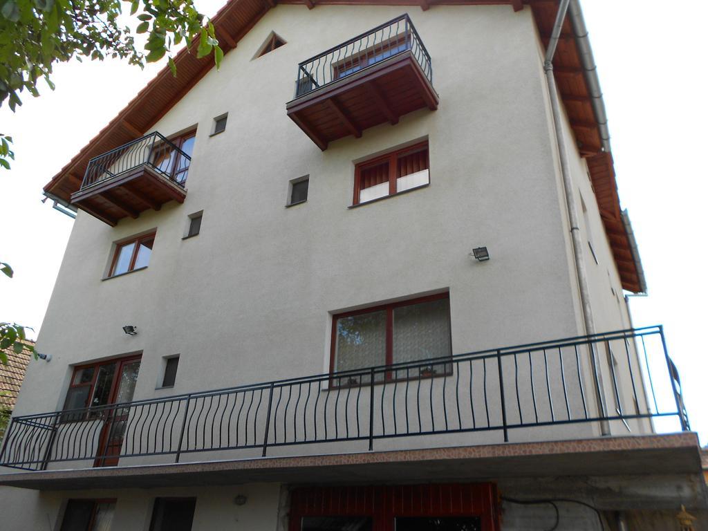 Gold Fayen House Cheile Turului Apartment Tureni Exterior photo